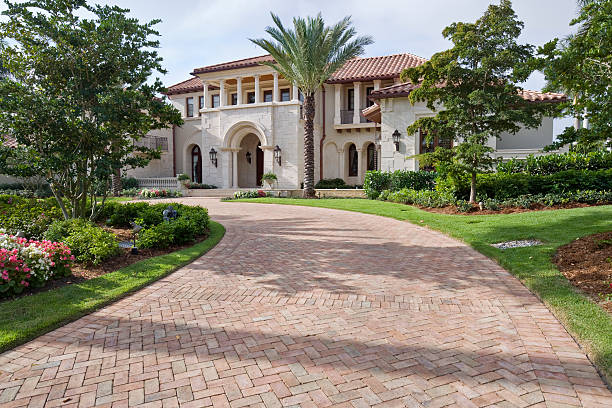 Best Local Driveway Pavers  in Wilson, AR